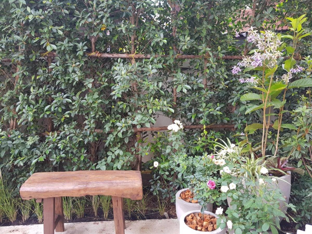 Hotel Rosy Chiang Mai Bagian luar foto